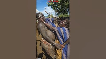 BODI TRIBES #ytshorts #shorts